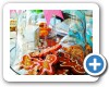 Shoneez Confectioners
